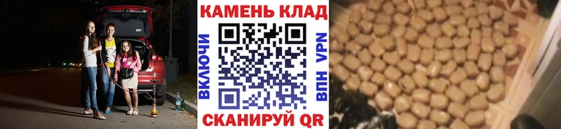 darknet Telegram  даркнет сайт  Знаменск  ГАШ Cannabis 