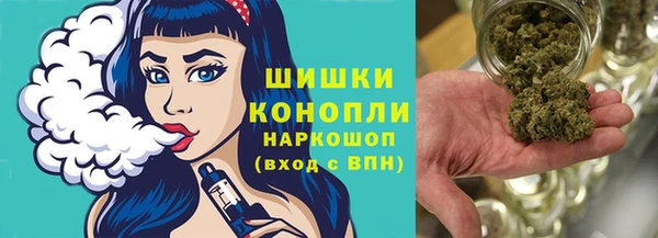 шишки Абинск