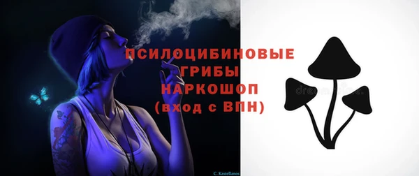 шишки Абинск