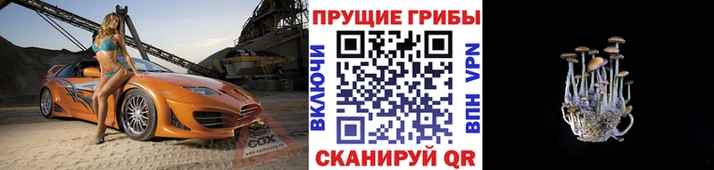 блэк спрут ссылка  нарко площадка какой сайт  Галлюциногенные грибы мицелий  Знаменск 