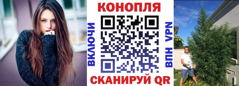 ссылка на мегу ссылки  что такое   Знаменск  Марихуана сатива 